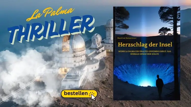 Roman - Buch