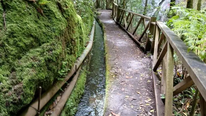 Los Tilos Bioreservat Los Tilos